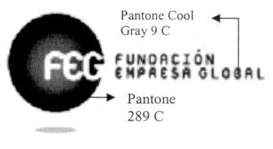 FEG FUNDACION EMPRESA GLOBAL