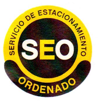 SERVICIO DE ESTACIONAMIENTO SEO ORDENADO