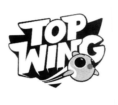 TOP WING