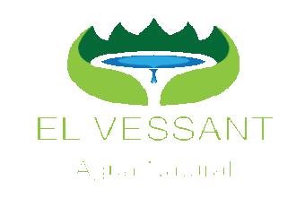 EL VESSANT AGUA NATURAL