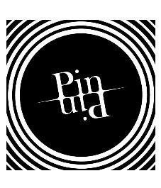 PIN PIN