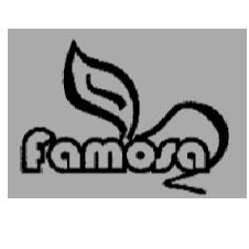 FAMOSA