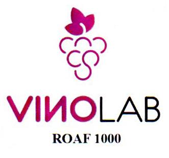 VINOLAB ROAF 1000