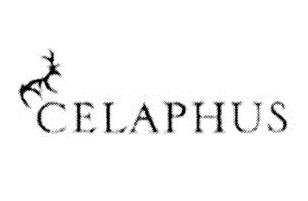 CELAPHUS