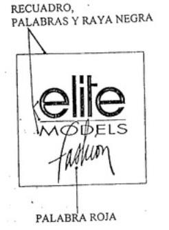 ELITE MODELS FASHION