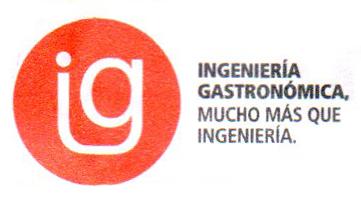 IG INGENIERIA GESTRONOMICA MUCHO MAS QUE INGENIERIA.