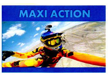 MAXI ACTION