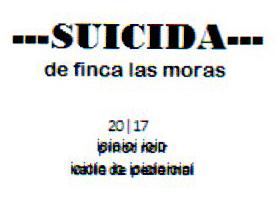 SUICIDA DE FINCAS LAS MORAS 20/17