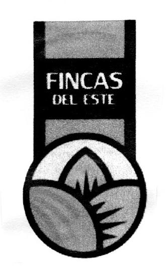 FINCAS DEL ESTE