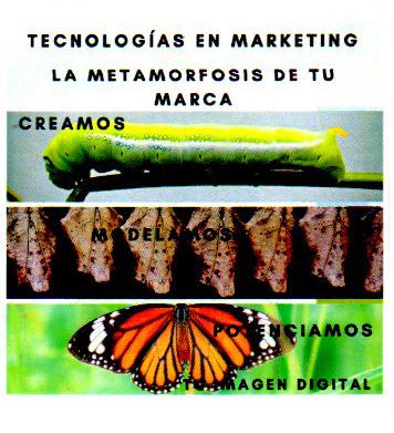 TECNOLOGIAS EN MAREKTING LA METAMORFOSIS DE TU MARCA CREAMOS MODELAMOS POTENCIAMOS TU IMAGEN DIGITAL