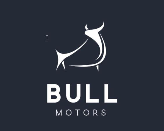 BULL MOTORS