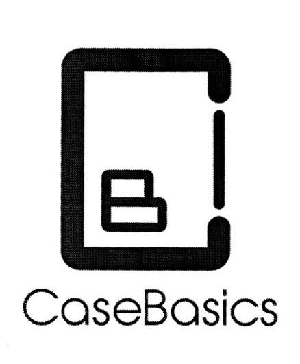 CB CASEBASICS