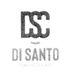 DSC DI SANTO CONSTRUCCIONES