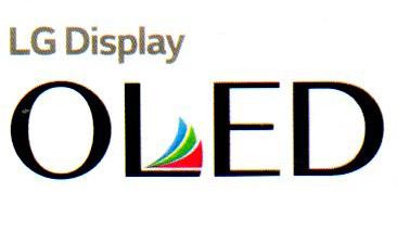 LG DISPLAY OLED