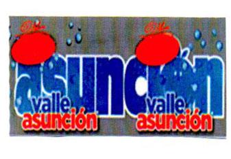 VALLE ASUNCIÓN