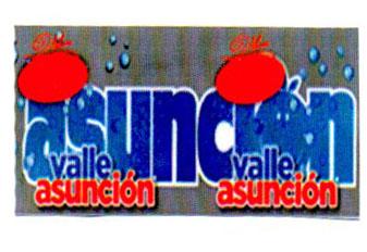 VALLE ASUNCIÓN