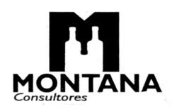 MONTANA CONSULTORES M