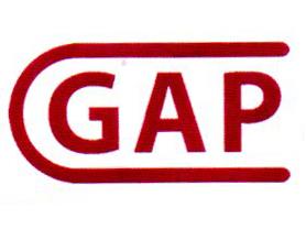 GAP