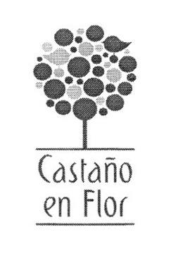 CASTAÑO EN FLOR