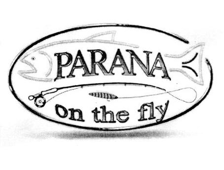 PARANA ON THE FLY