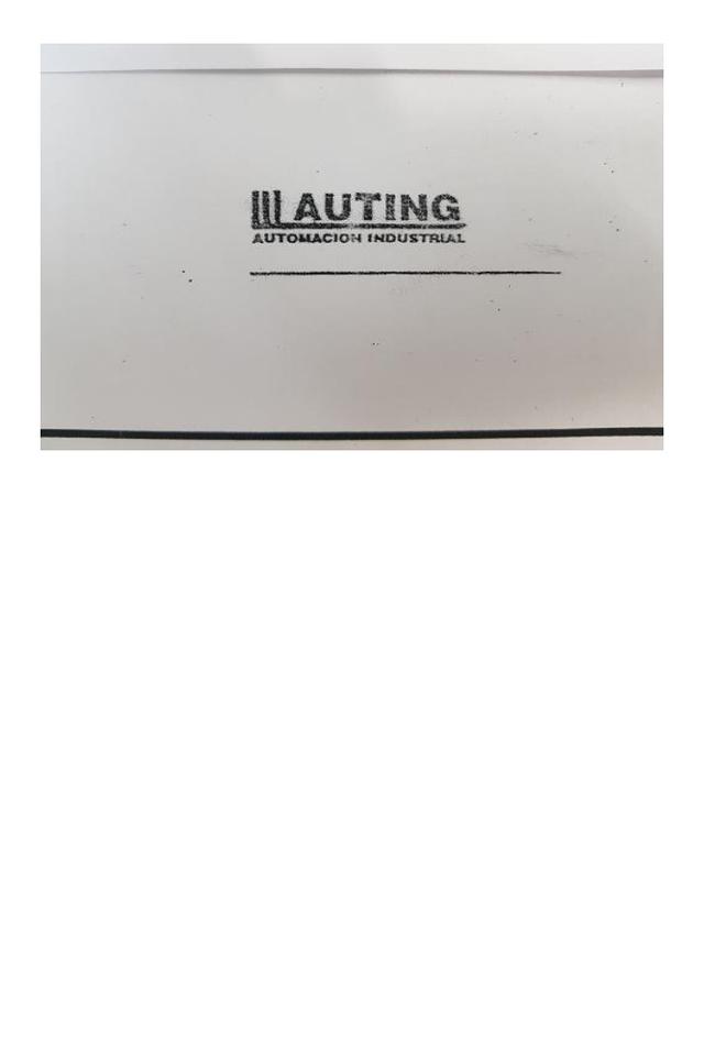 AUTING AUTOMACION INDUSTRIAL