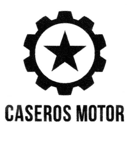 CASEROS MOTOR