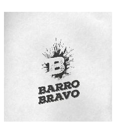 B BARRO BRAVO