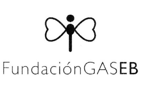 FUNDACION GASEB