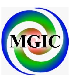 MGIC