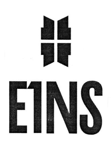 E1NS