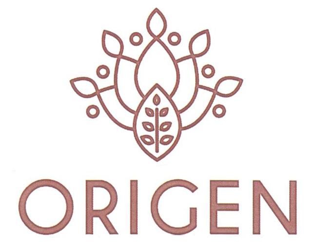 ORIGEN