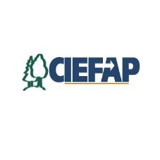 CIEFAP