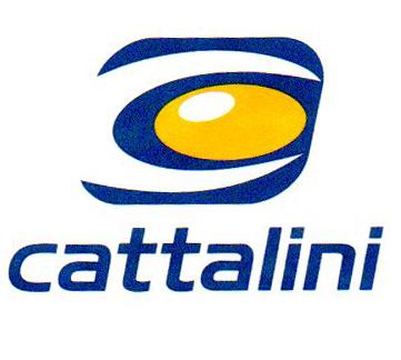 C CATTALINI