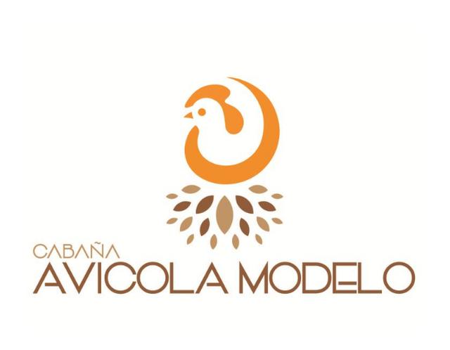 CABAÑA AVICOLA MODELO