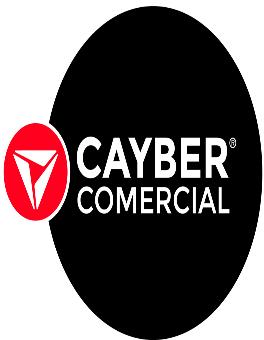 CAYBERCOMERCIAL