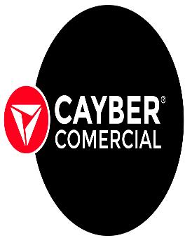 CAYBERCOMERCIAL