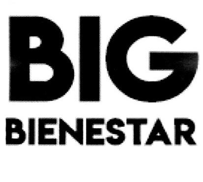 BIG BIENESTAR