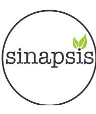 SINAPSIS