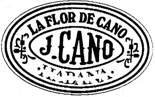 LA FLOR DE CANO J.CANO