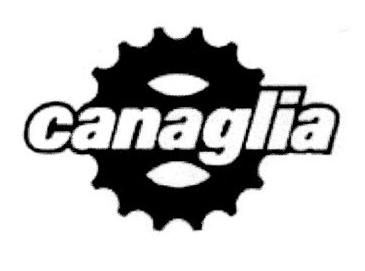 CANAGLIA