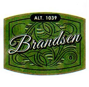 BRANDSEN ALT 1039