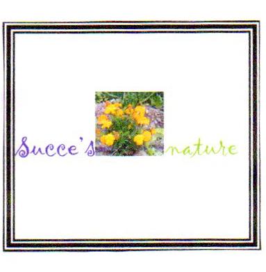 SUCCE'S  NATURE