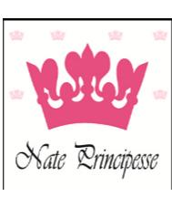 NATE PRINCIPESSE