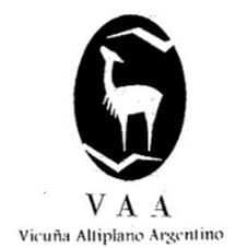 V A A VICUÑA ALTIPLANO ARGENTINO