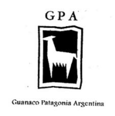 G P A GUANACO PATAGONIA ARGENTINA
