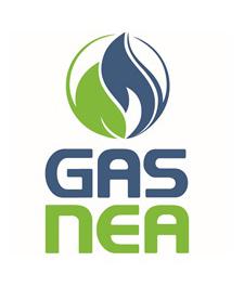 GAS NEA