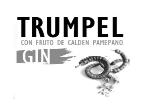 TRUMPEL CON FRUTO DE CALDEN PAMEPANO GIN