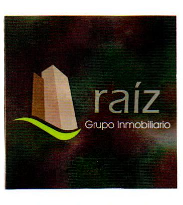 RAÍZ GURPO INMOBILIARIO