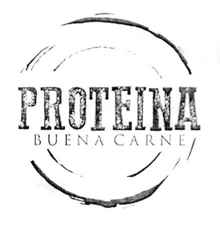 PROTEINA BUENA CARNE