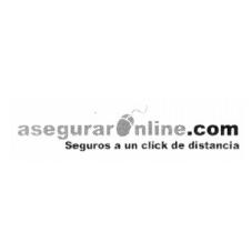 ASEGURARONLINE.COM SEGUROS A UN CLICK DE DISTANCIA